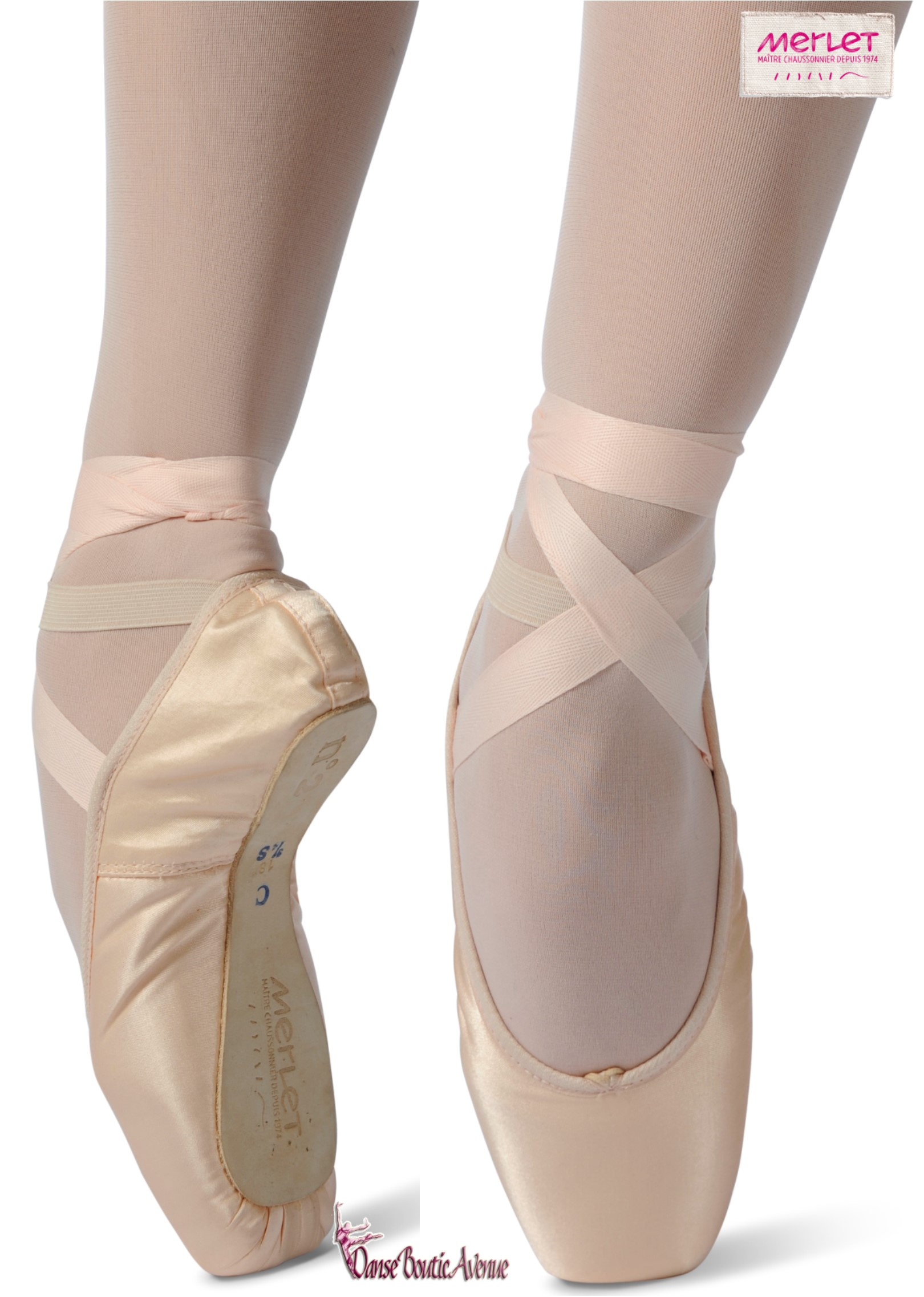 POINTES DANSE MERLET N2